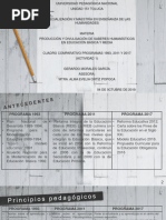 Características del Plan de Estudios 1993 | PDF | Educación primaria ...