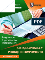 PEP 2018 Peritaje Contable Todo