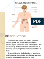 The Endocrine System: Regulating Bodily Functions Through Hormones