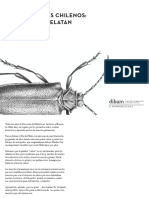 Artropodos Pintar PDF