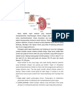 Laporan Pendahuluan Chronic Kidney Disease