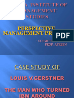 Perspective Management Project