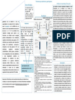 Practica 6 Biologia Celular ENCB IBQ