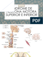 Síndrome de Neurona Motora Superior e Inferior