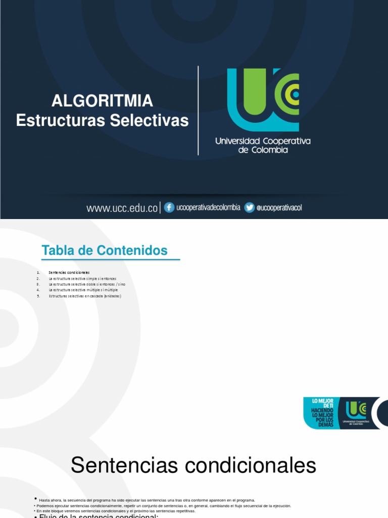 Presentación Estructuras Selectivas Completo | PDF | Programa de ...