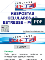 2 Aula_Respostas celulares ao estresse.pdf