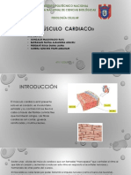 Musculo Cardiaco equipo 6.pptx