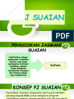 PJ Suaian