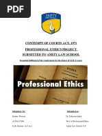 Professional Ethics Project