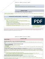 Formato Diario y Ficha de Campo