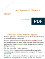 chap 8 - nervous tissue.pdf