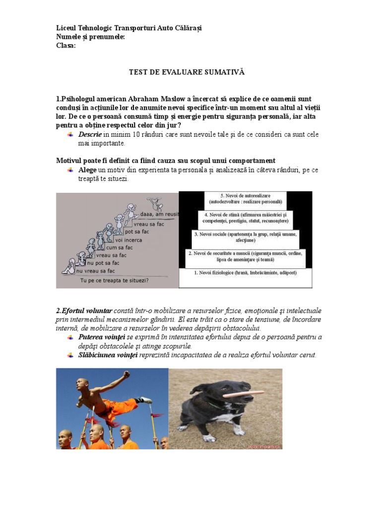 Test de Evaluare La Psihologie | PDF