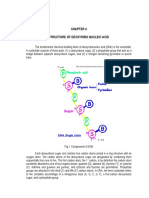 DNASTRUCTURE.pdf