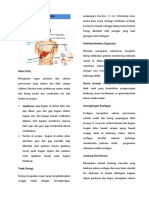 Anatomi Fisiologi Pencernaan.docx