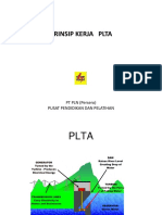 Plta 2