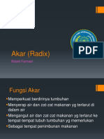 Akar (Radix) Botani Farmasi