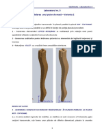 Lab_3_Picior_masa_2