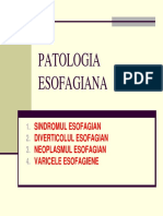 04 Patologia Esofagiana