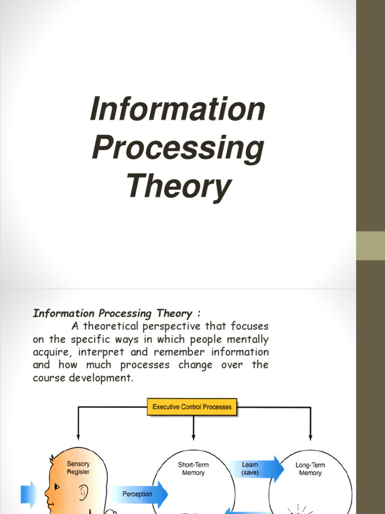 Information Processing Theory Document | PDF | Career & Growth