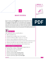 Lesson 06 PDF