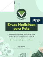 Ervas medicinais para cuidar de seu pet