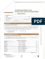 BANETA Protocolo PDF