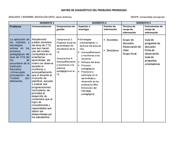Matriz de Diagnóstico Del Problema Priorizado-1 | PDF