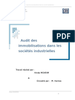 Audit Des Immobilisations Dans Les Sociétés Industrielles