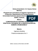 Comparación de Genomas de Especies Vegetales, Por Medio de La Identificación Del Número Cromosómico