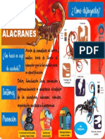 Flyer Alacranes-2020