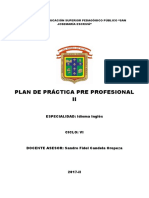 Práctica pre profesional inglés