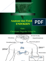 anatomidanfisiologiendokrin-110818212209-phpapp01.ppt