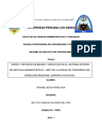 Informe Practicas Pre Profesionales I