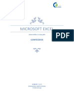 Manual Excel PDF