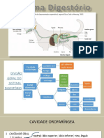 RESUMO Digestório19 (2).pdf