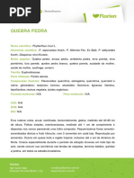 QUEBRA-PEDRA.pdf