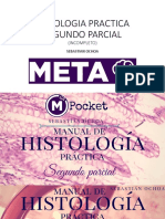 Diapositivas Histologia Segundo Parcial Casi Completo-1 PDF