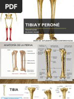 RAFI de Tibia y Peroné | PDF | Rodilla | Lesión
