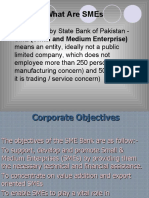 What Are Smes: As Defined by State Bank of Pakistan - Sme (Small and Medium Enterprise)
