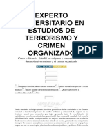 Experto en Estudios de Terrorismo y Crimen Organizado