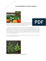 Deficiencias y Excesos Nutricionales en Tomate