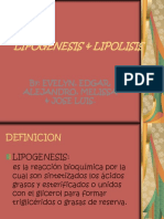Lipogenesis Lipolisis