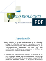 11- RIESGO BIOLÓGICO.pdf