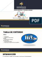 Cartilla Auditoría y Control Interno PARTE 2