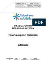 Guia Toxoplasmosis y Embarazo PDF