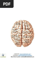 Conceitos Fundamentais de Neurociências.docx