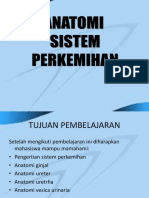 Sistem Perkemihan