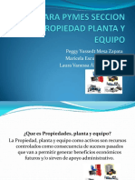 Niiff para Pymes Ppe