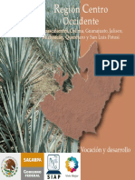 Region Centro Occidente