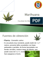 02marihuana 110623152726 Phpapp01